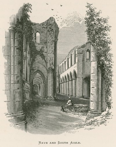 Fountains Abbey, Nave ja South Aisle tekijältä Alexander Francis Lydon