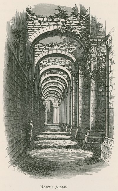 Fountains Abbey, pohjoinen käytävä tekijältä Alexander Francis Lydon