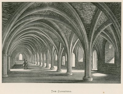 Fountains Abbey, The Cloisters tekijältä Alexander Francis Lydon