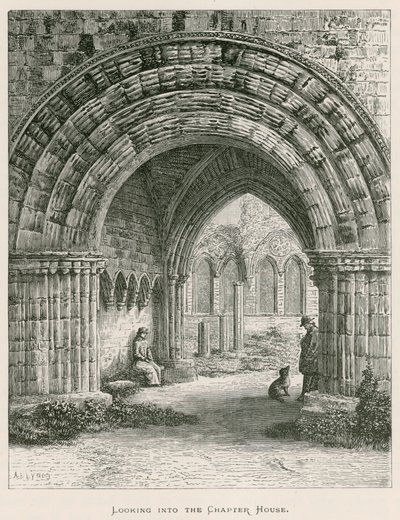 Furness Abbey, katselee Kapitustaloon tekijältä Alexander Francis Lydon
