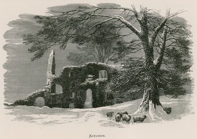 Kirkstall Abbey, keittiö tekijältä Alexander Francis Lydon