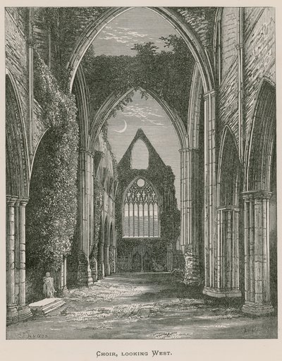 Tintern Abbey, kuoro, joka näyttää lännestä tekijältä Alexander Francis Lydon