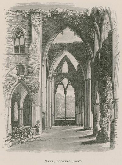 Tintern Abbey, Nave, katsoo itään tekijältä Alexander Francis Lydon