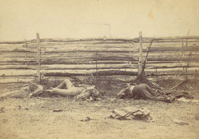 Näkymä kentällä, Hagerstown Roadin länsipuolella, Antietamin taistelun jälkeen, ..., 1862. tekijältä Alexander Gardner