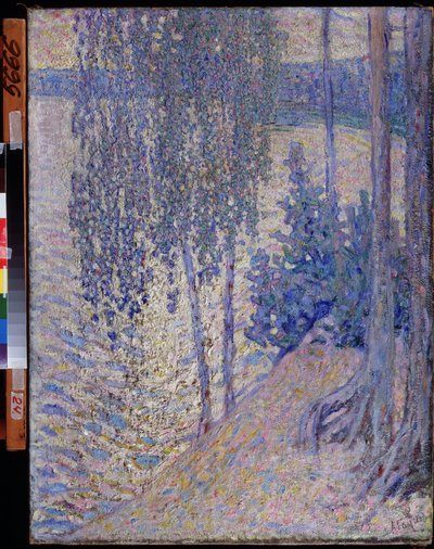 ""Koivut"" (Koivut) Aleksanteri Fjodorovitš Gaushin (1873-1947) maalaus noin 1910 Tšuvashin tasavallan valtion taidemuseo Cheboksary tekijältä Alexander Gaush