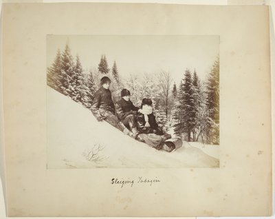 Kelkkailu, n. 1873 (albumiprintti (komposiitti)) tekijältä Alexander Henderson