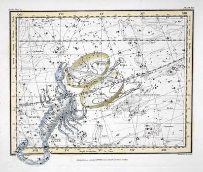 Tähtikuviot (levy XIX) Vaaka ja Skorpioni, Alexander Jamiesonin julkaisemasta "A Celestial Atlas", pub. Lontoo 1822 (käsin väritetty kaiverrus). tekijältä Alexander Jamieson