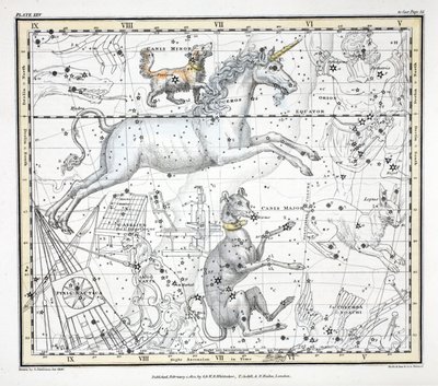 The Constellations (taulu XXV) Canis Major, Canis Minor, Monoceros, Argo Navis, Printer