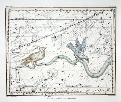 Constellations (levy XXVII) Hydra Continua, Crater, Covus, Centaurus et Lupus, Alexander Jamiesonin kirjasta "A Celestial Atlas", pubi. Lontoo 1822 (käsinvärinen kaiverrus) tekijältä Alexander Jamieson