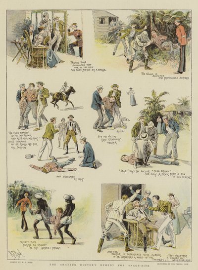 Amatöörilääkärin lääke käärmeenpuremaan (chromolitho) tekijältä Alexander Stuart Boyd