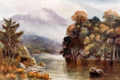 Muckross Lake, Killarney (värilitro) tekijältä Alexander Williams