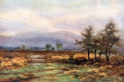 Lähellä Abbeyleixiä, Queen