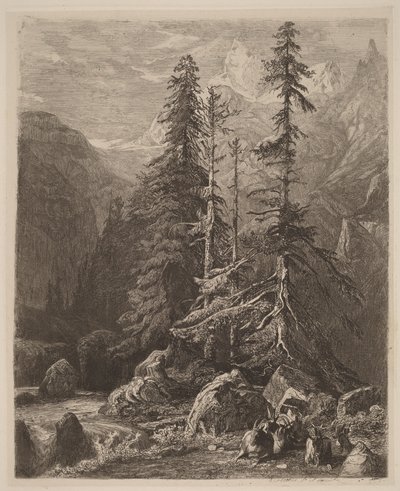 Alexandre Calamen etsauskokeiluja, I, taulu 21 tekijältä Alexandre Calame