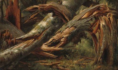 Kaatunut puu, 18391845. tekijältä Alexandre Calame