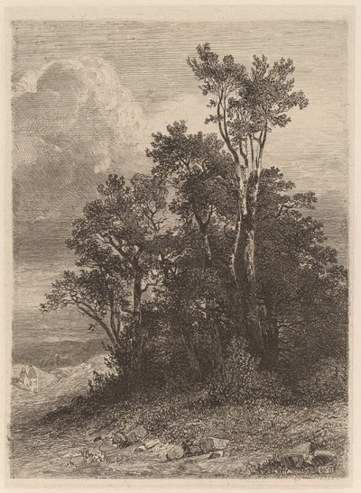 Puiden lehto tekijältä Alexandre Calame