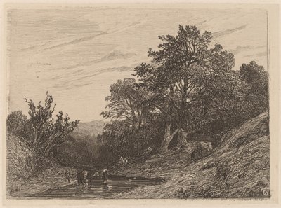 Lauma virrassa tekijältä Alexandre Calame