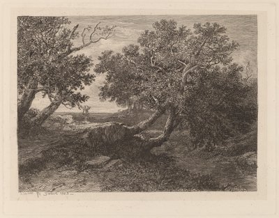 Striimaa ulkonevien puiden kanssa tekijältä Alexandre Calame