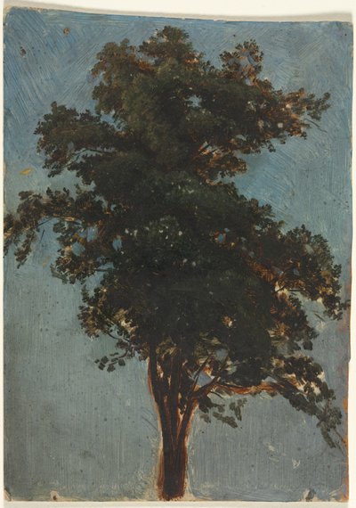 Puututkimus tekijältä Alexandre Calame
