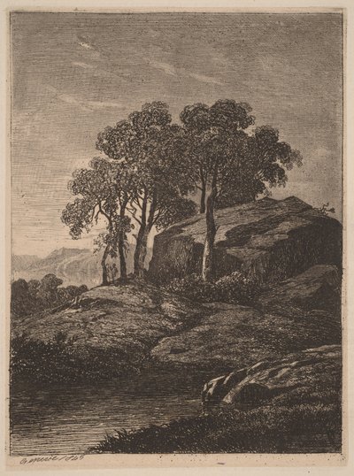 Puita kallion vierellä tekijältä Alexandre Calame
