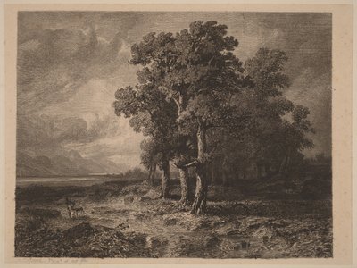 Puita myrskyssä tekijältä Alexandre Calame