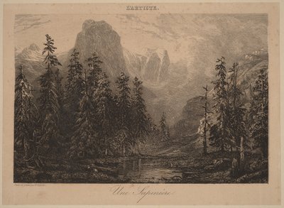 Kuusikko tekijältä Alexandre Calame