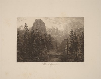 Kuusimetsä tekijältä Alexandre Calame