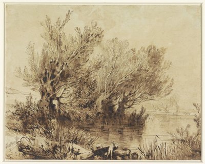 Pajuja järvellä loivassa maastossa tekijältä Alexandre Calame