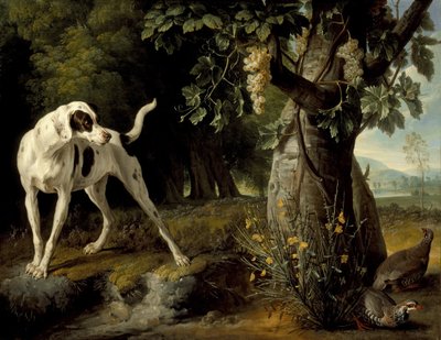 Maisema koiran ja peltopyyn kanssa, 1719 tekijältä Alexandre Francois Desportes
