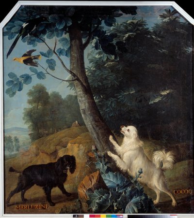 Merluzine ja Cocoq, Ludvig XIV:n (1638-1715) koirat. Francois Desportesin (1661-1743) maalaus tekijältä Alexandre Francois Desportes
