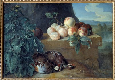 Persikat ja peltopyyt. Francois Desportesin (1661-1743) maalaus tekijältä Alexandre Francois Desportes