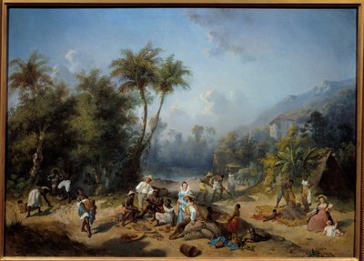 Kaakaoviljelmä Länsi-Intiassa Alexandre Balancen (1822-1893) maalaus 1800-luvun aurinko. 0,5x0,7 m La Rochelle, Musee du Nouveau Monde - Kaakaoviljelmä Länsi-Intiassa. Alexandre Balancen maalaus (1822-1893) tekijältä Alexandre Solde