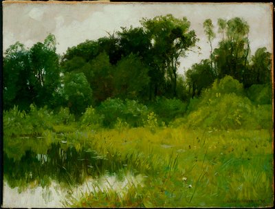 Sateen jälkeen Minnehaha Creekillä tekijältä Alexis Jean Fournier