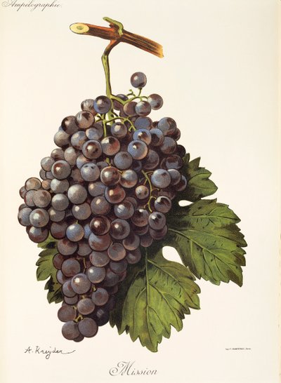 Mission grape by A. Kreyder tekijältä Alexis Kreyder