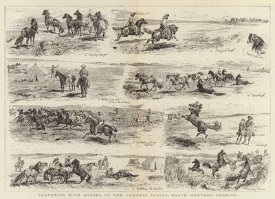 Villihevosten vangitseminen Laramie Plainsilla, Luoteis-Amerikassa tekijältä Alfred Chantrey Corbould