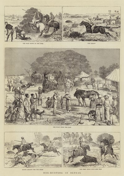 Sikojen metsästys Bengalissa tekijältä Alfred Chantrey Corbould