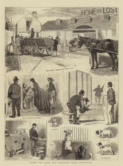 Kadonneiden ja nälkäisten koirien koti, Battersea tekijältä Alfred Chantrey Corbould