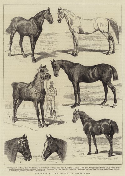 Luonnokset Islington Horse Showssa tekijältä Alfred Chantrey Corbould