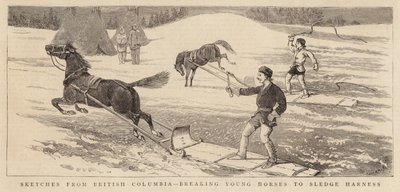Luonnoksia British Columbiasta, murtamalla nuoria hevosia rekivaljaisiin tekijältä Alfred Chantrey Corbould
