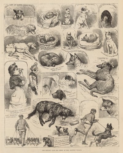 Kennelliiton koiranäyttely Crystal Palacessa tekijältä Alfred Chantrey Corbould