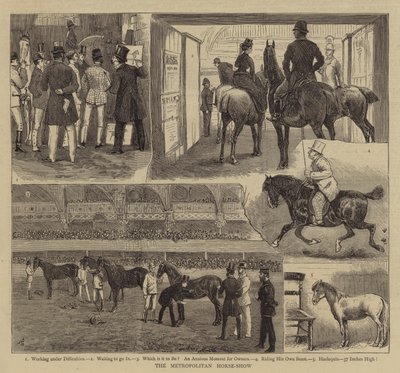 Metropolitan Horse-Show tekijältä Alfred Chantrey Corbould