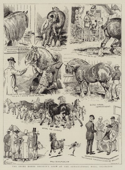 Shire Horse Society Show Agricultural Hallissa, Islingtonissa tekijältä Alfred Chantrey Corbould