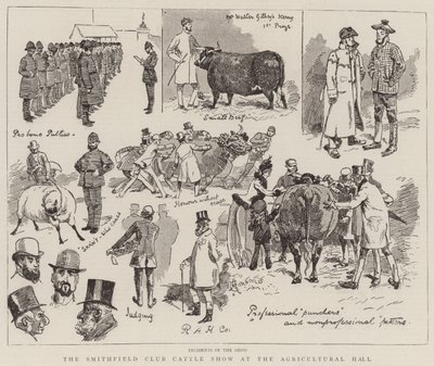Smithfield Clubin karjanäyttely maataloushallissa tekijältä Alfred Chantrey Corbould