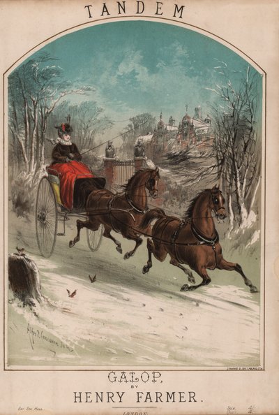 Tandem (väri litho) tekijältä Alfred Concanen