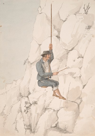 Gomero, Orchilla Gatherer tekijältä Alfred Diston