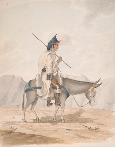 Grand Canary-Man pe un Donkeyfinnish tekijältä Alfred Diston