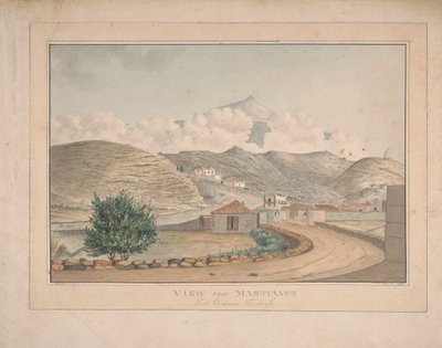 Näkymä Martianezista, Port Orotavasta, Teneriffasta tekijältä Alfred Diston