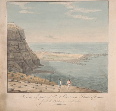 Näkymä osasta Port Orotavaa, Teneriffa La Caldevasta, lähellä Sanchoa tekijältä Alfred Diston