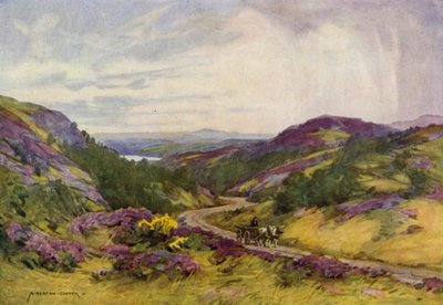 Tanska: Raebild Hills, lähellä Aalborgia (väri litho) tekijältä Alfred Heaton Cooper