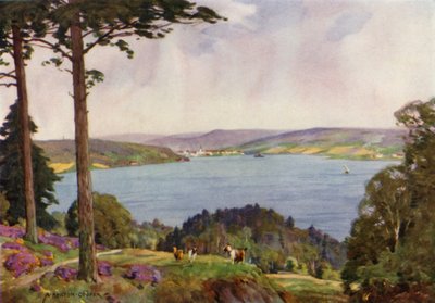 Tanska: Vejle Fiord, Etelä-Jyllanti (väri litho) tekijältä Alfred Heaton Cooper