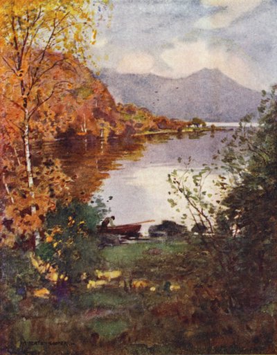 Innisfallen Island, Killarney tekijältä Alfred Heaton Cooper